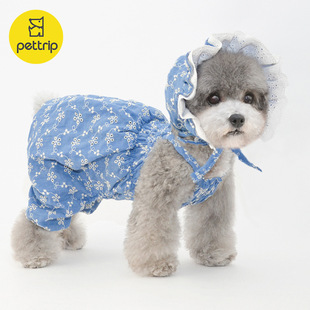 pettripؐ;���Č����·����·������Ϲ�ȹ����ѝ����ȹ�ӹ�ȹ��