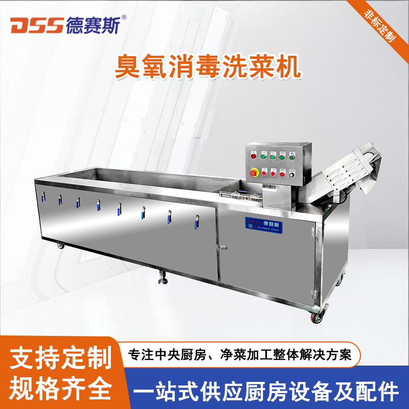 豪华型臭氧消毒洗菜机气泡清洗机304不锈钢清洗机