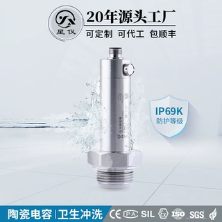 星仪CYYZ566E陶瓷电容卫生压力变送器防腐IP69K防爆传感器可定