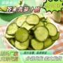 代发即食办公休闲青萝卜