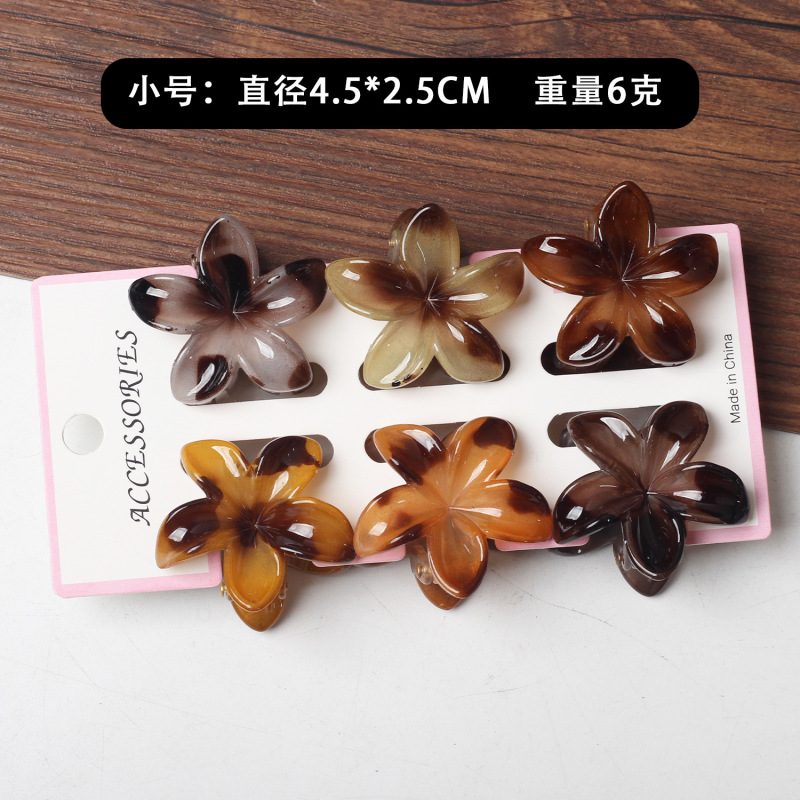 新商品のかわいい六点セットの卵の花の夏のリゾート風はビーチの海辺のカードの後頭部を挟みます。|undefined