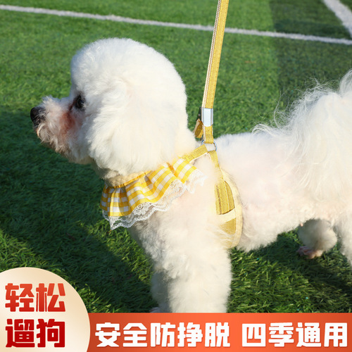 Harness Dog Leash Cat Leash Cat Pomeranian Teddy Leash Wholesale Dog Leash Dog Leash Dog Chain