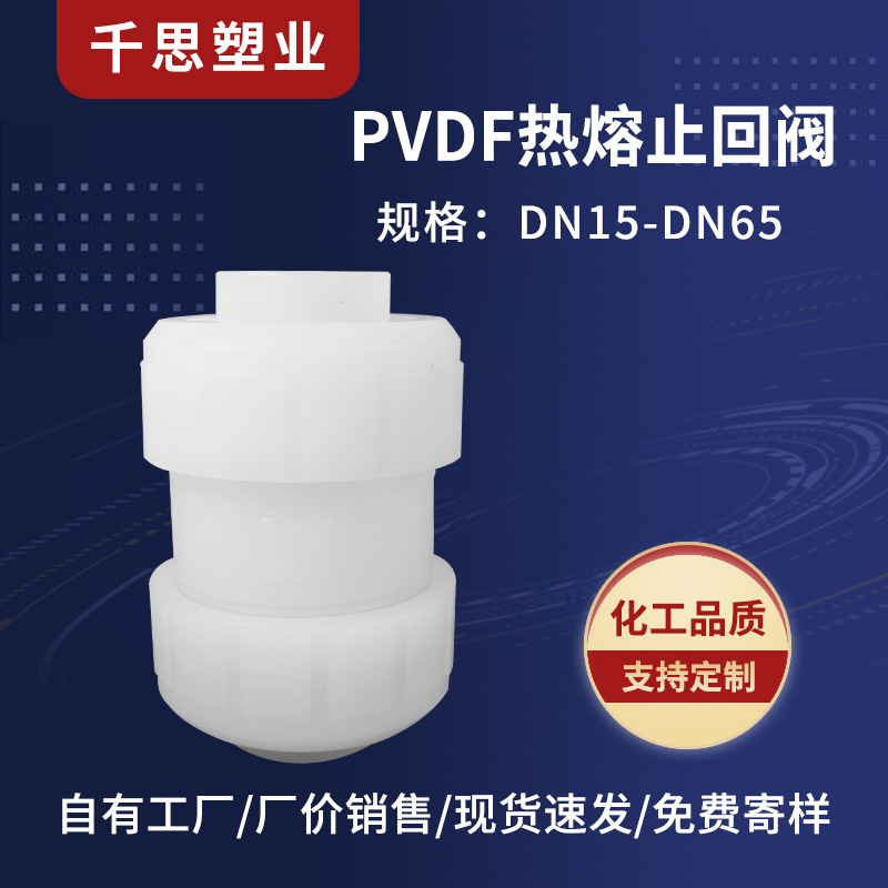 厂家供应PVDF热熔止回阀聚丙烯工业阀门批发化工塑料防回流