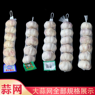 Supermarket Garlic Mesh Bag Wholesale Ginger Mesh Bag Garlic Mesh Bag Small Items Plastic Woven Nylon Packaging Bag