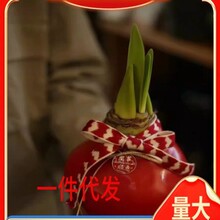 �������_�����M���ذ��N����피t������B���҃������Ի���ֱ��