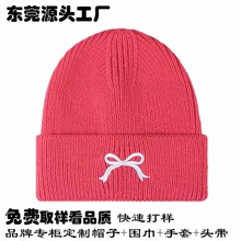 品牌授权工厂 韩系刺绣Logo百搭毛线帽秋冬保暖防寒护耳针织帽子