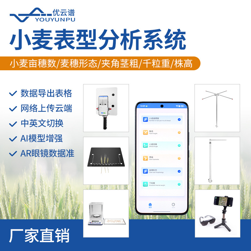 小麦表型分析仪麦穗形态小麦亩穗数测量系统小麦表型测量检测仪