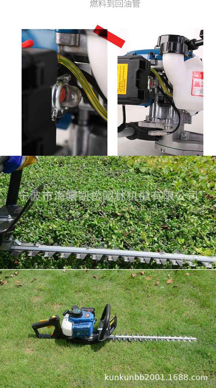 r_08.jpg
