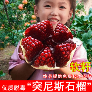 ���o�tʯ�����ͻ��˹ܛ�џo�Ѻ�ʯ���Ϸ������ļ��̨����ˮ����