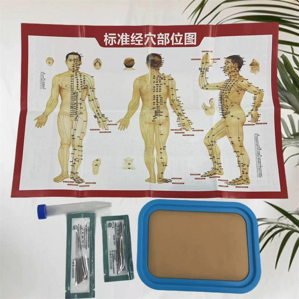 Иглоукалывание упражнения иглоукалывание кожные пакеты для студентов китайской медицины