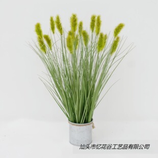 �����JȔ�� ��β�� ���[��Ӱ��zӰ�쾰���չ��̻�cܛ�b����ֲ��