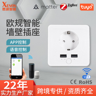 Cross-Border European Standard Zigbee Wall Socket Wifi Smart Graffiti App Timing 86 Type 16A Wall Plug USB Remote Control