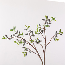 ����{���n��������ʽ�Ҿӿ͏d�b��ϙ��ֲ�����֦�l�������l