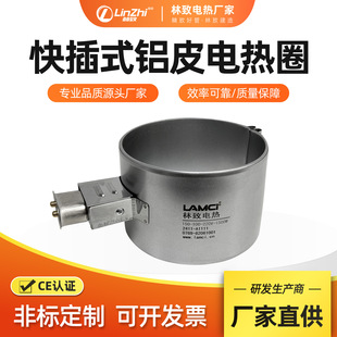 林致电热科技(福建)有限公司