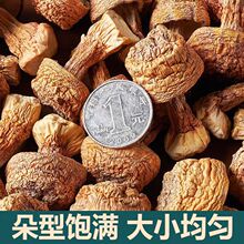 正宗云南野生姬松茸干货250g松茸包邮云南特产 野生菌