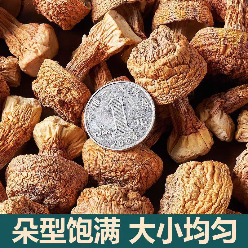 正宗云南野生姬松茸干货250g松茸包邮云南特产 野生菌