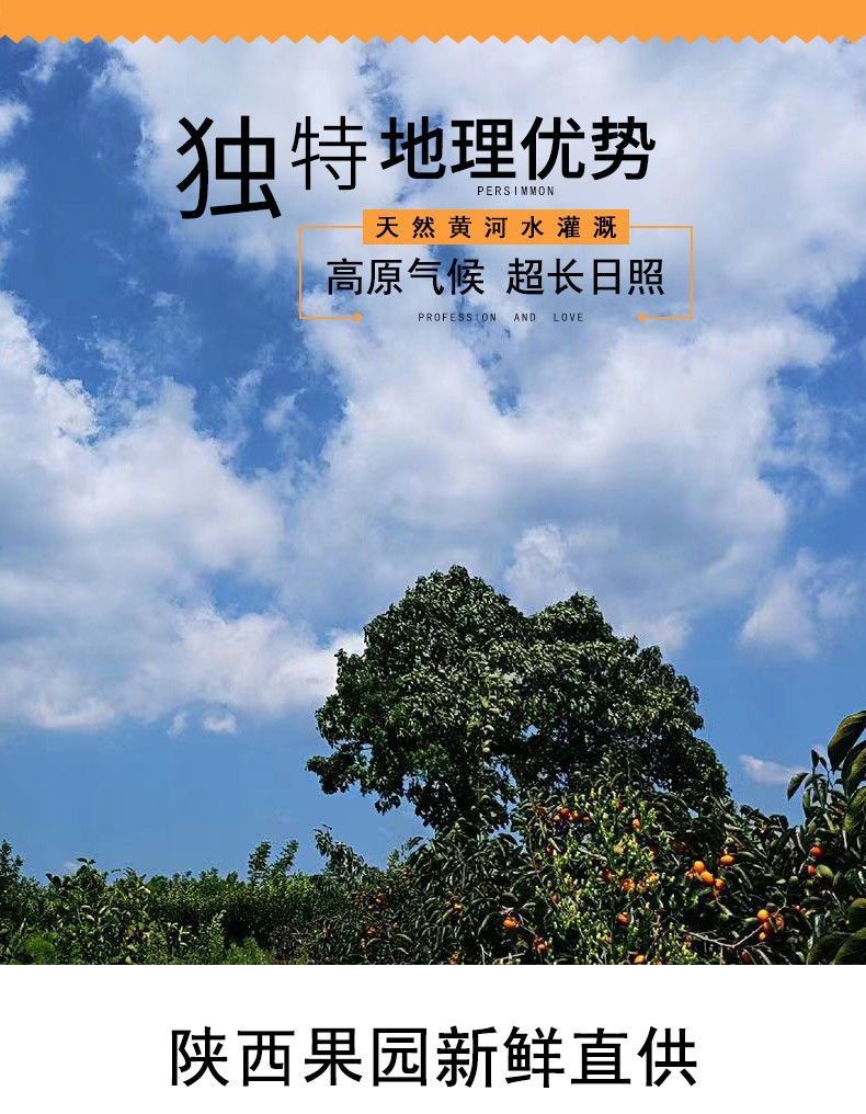 b4e956bf-6196-46d1-9eb1-47b0215ce37f.jpe