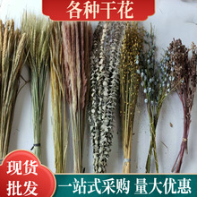 С���ɻ��S��С�JȔ�͏d�Ҿ��b�DIY�Ĕz�����o�ĸɻ����ȼ�����