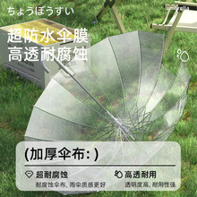 16��͸������L�����̖�p��Ů��ɫ�W�t��ϵ���ֵ�Շ������Ӵ�