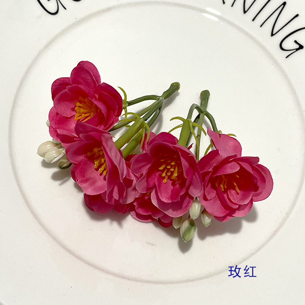 로즈 레드