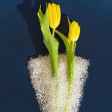 ��������������h���������R��CA �� �h���Ѻÿɳ��m�lչ��͸��