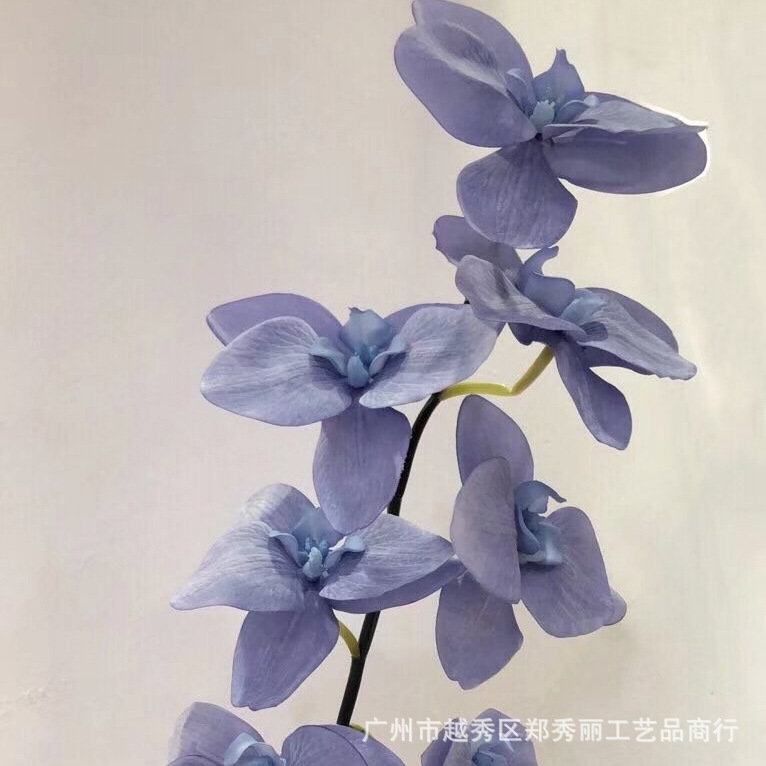 다크 블루