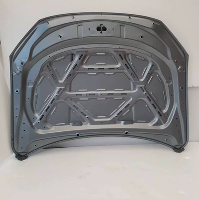 QINPLUS EV hood, Car shell