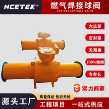 耐衡流体 双放散然气焊接球阀 DN50-DN600 防腐防锈厂家加工定 制