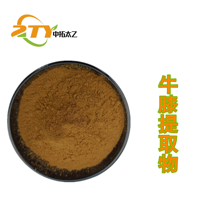 厂家供应 牛膝提取物 20:1 牛膝草粉 500g/袋 喷雾干燥 水溶 现货