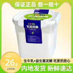 新疆天润酸奶大桶装润康宜家方桶老酸奶风味发酵乳1kg家庭装