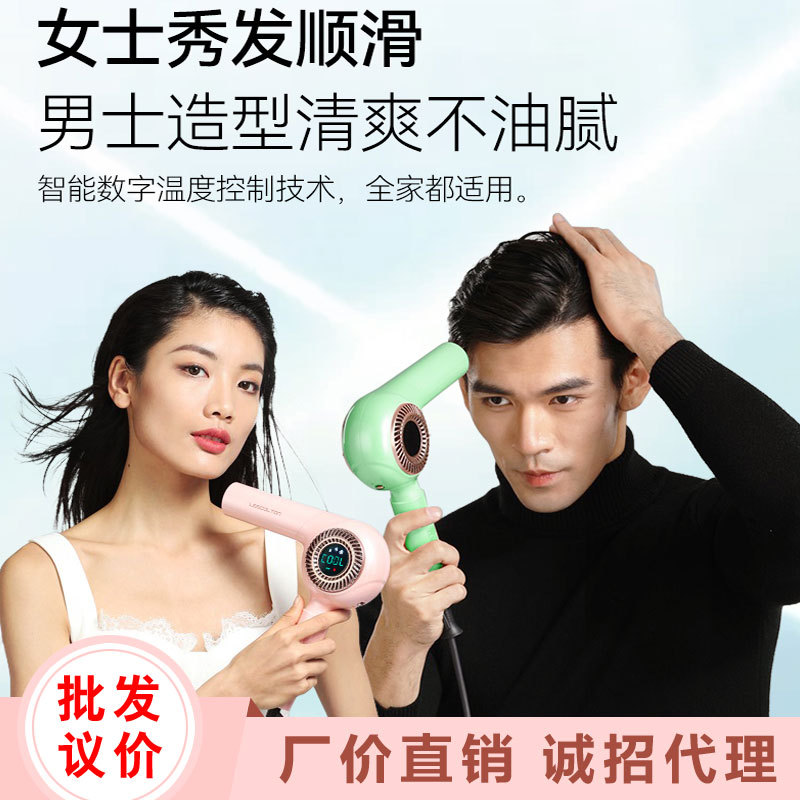 new pattern Hair drier anion Hair dryer household constant temperature high speed major Hairdressing Dedicated Manufactor wholesale