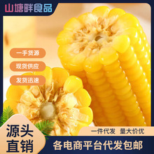 �|��Ŵ�����S���װ�����b�S���װ��]�Fժ���r�����һ�����l