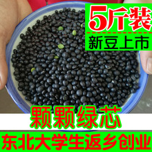 东北绿芯心小黑豆新鲜农家5斤装五谷杂粮豆芽豆浆醋泡青仁豆