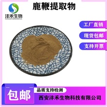 鹿鞭提取物10:1现货包邮鹿鞭粉鹿筋肽 鹿鞭肽98%