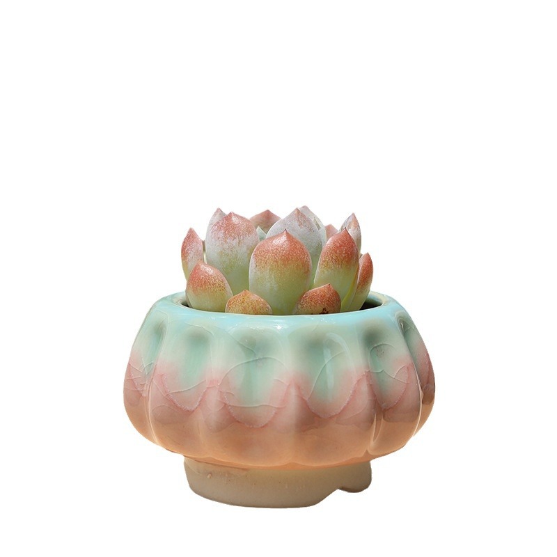 Nouvelle plante grasse citrouille - Créative, unique, fraîche, glaçage craquelé arc-en-ciel, mignonne, petit pot pour l'entretien des plantes, prix spécial_voghion.com