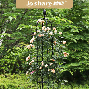 Cross-Border preferred U-type Rose rack small package iron broken circle month Amazon customer flower rack export climbing rack