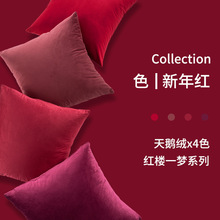 天鹅绒新年喜庆中国红色沙发抱枕客厅靠垫靠枕套床头大靠背垫