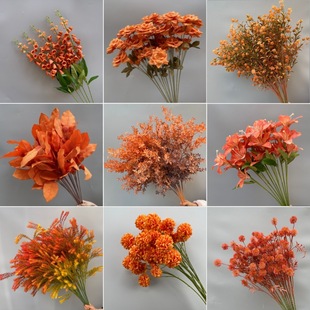 ��ɫϵ���滨�Ļ�c�ٻ���ɫ������Y�������廨��̨·���b�ˇ