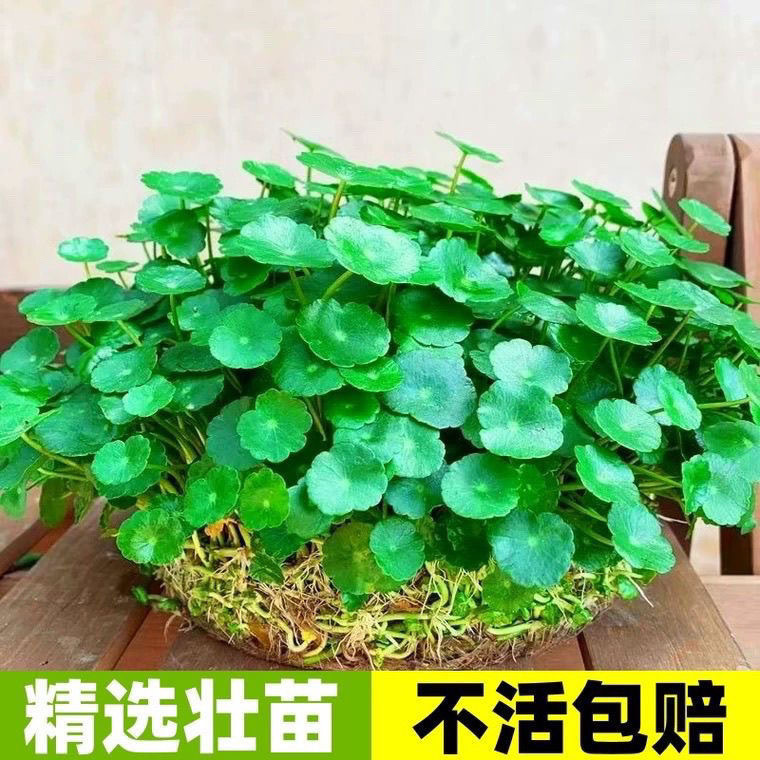 81fdf827-ca31-4e2a-a7e7-21c203b44524.jpe