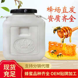 农家自产荆条蜜 桶装1吨百花蜜成熟原蜜 散装荆条蜂蜜批发