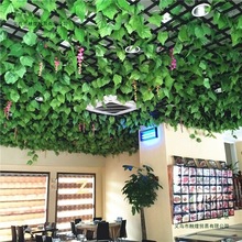 �����~��ɽ��ֲ���ٗl�G�}�����bܵ���픾G�~�ܵ����ϼٻ�