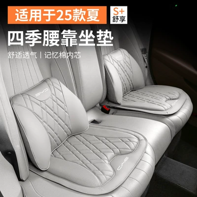 Summer Headrests, Lumbar Cushions, Dmi – Waist support