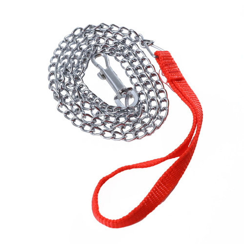 Manufacturer wholesale Pipitao chrome-plated iron chain leash bite-resistant chrome-plated process P chain dog leash