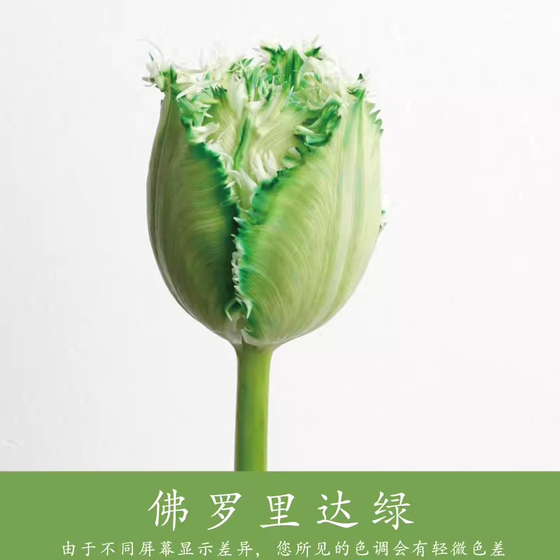 Material de embalaje de flores frescas Agente de tinción en aerosol de flores secas Salsa de ciruela negra Pintura en aerosol de flores Pintura en aerosol de flores Agente de color de flores