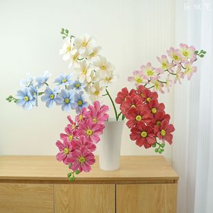 ����ˇ���滨9�^��ɣ����˹�Ն�ֲ֦ë��˹�ռٻ��ҾӔ[����c��