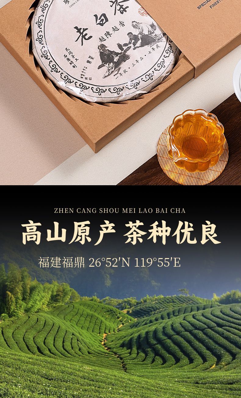 15908af9-1c82-4385-84a5-93cede033afb.jpe