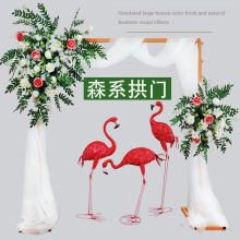 �¿�ɭϵ��Yľ�����T���ǻ����滨���������ƺ�ٻ��b�Y�Ż�