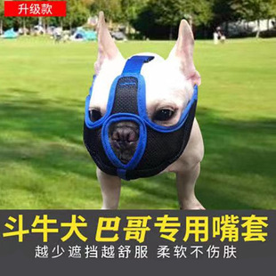 �������׹����ַ�ҧ���y�Թ������׶������ְ͸�Ȯ��ţȮͨ��