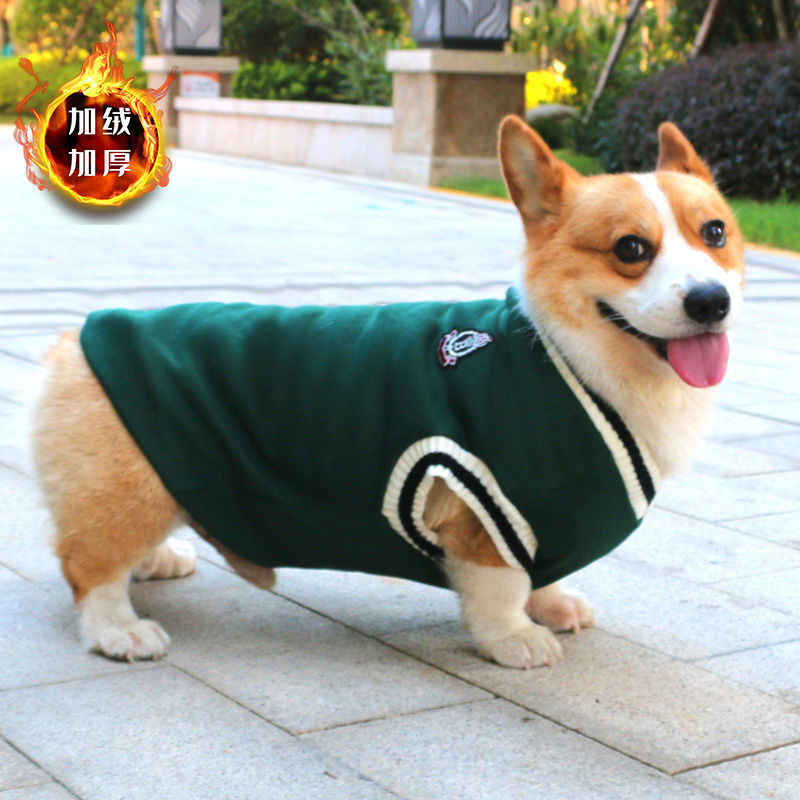 Autumn and winter dog clothes Corgi autumn knitted sweater medium and small dog Teddy thickened warm