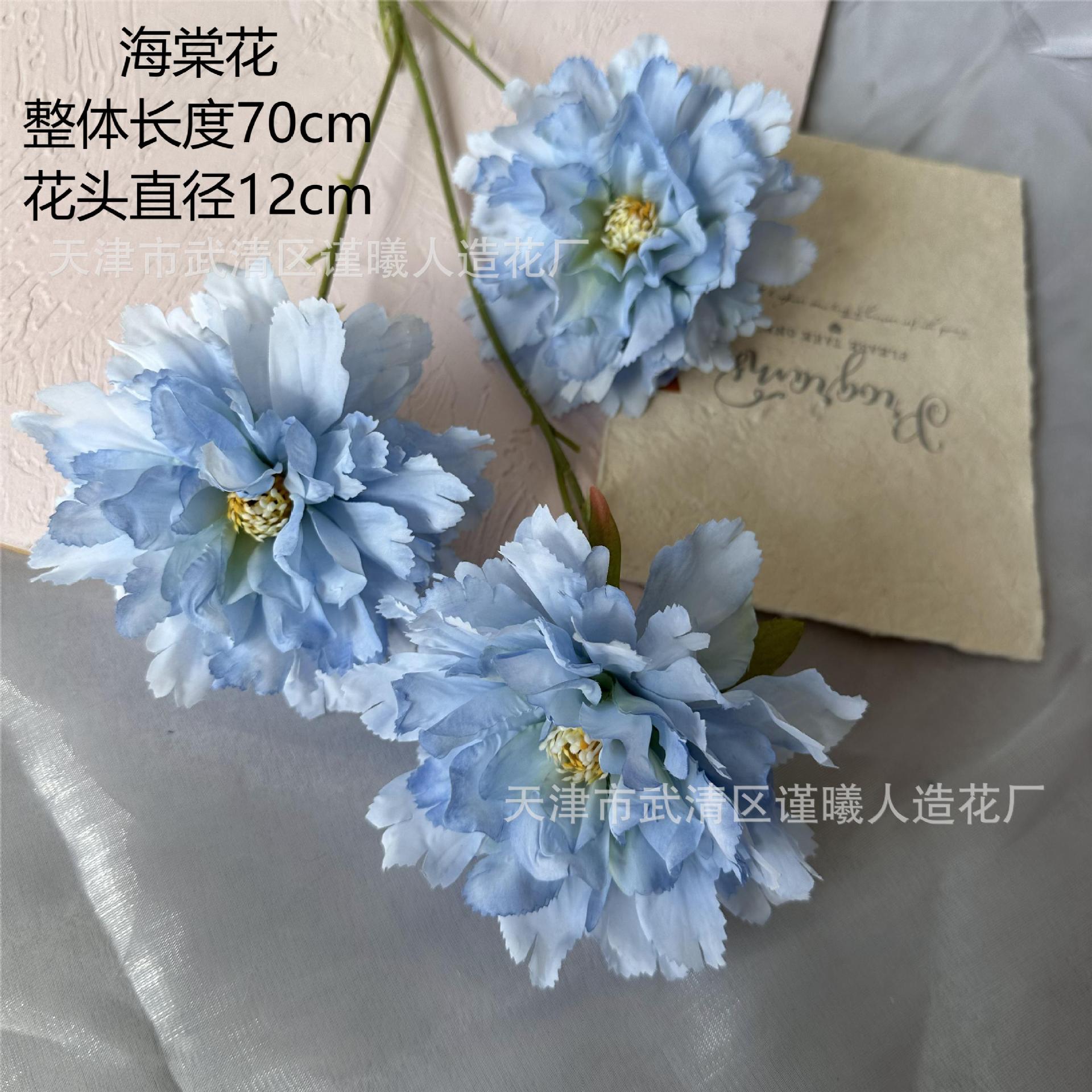 게 사과 꽃